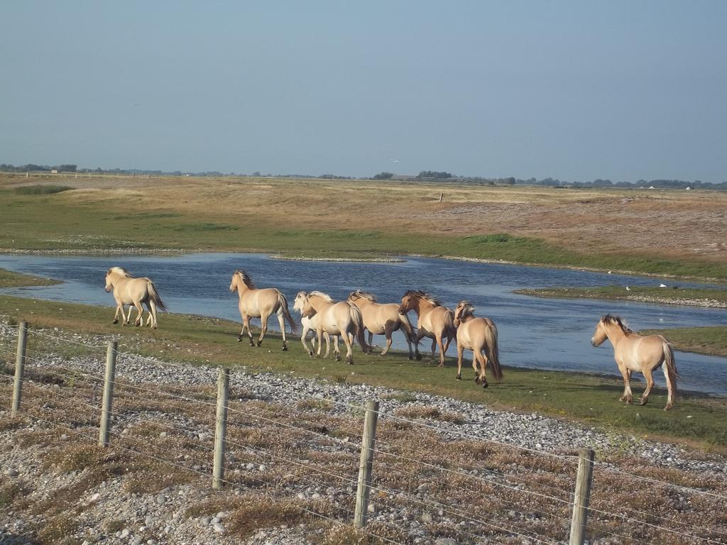 Camping Paradis Les Galets De La Molliere Cayeux-sur-Mer Exterior foto